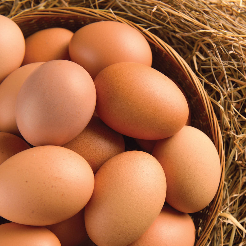 By the dozen 800g Jumbo