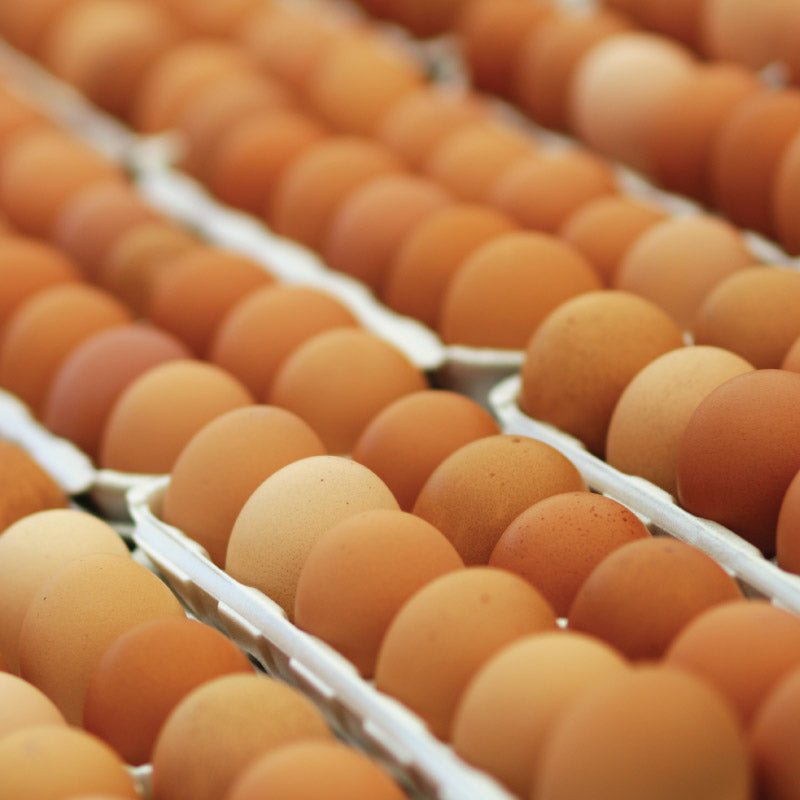 Catering Tray of 30 Large Eggs